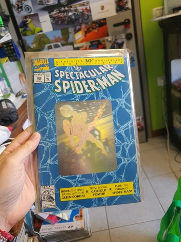 The spectacular spider - spectacular, spider-man