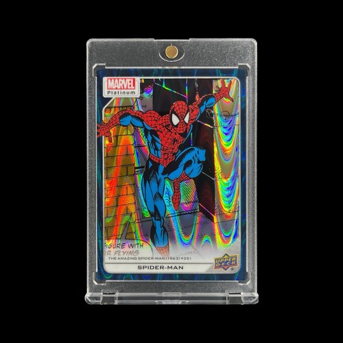 Spider man raro - spider-man, raywave
